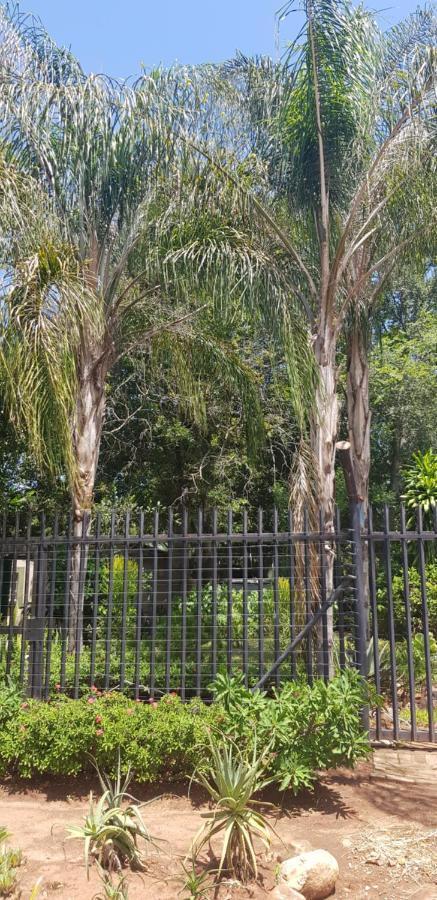 A Farm Stay - Casablanca'S Private Cottage,No Loadshedding! Hazyview Exteriör bild