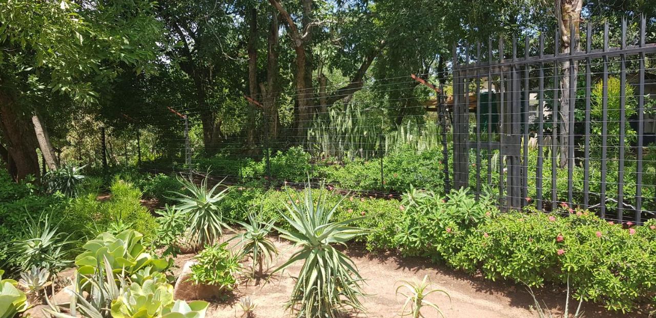 A Farm Stay - Casablanca'S Private Cottage,No Loadshedding! Hazyview Exteriör bild